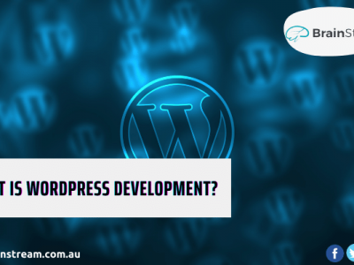 What is WordPress development?