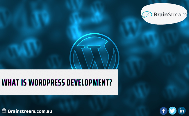 What is WordPress development?