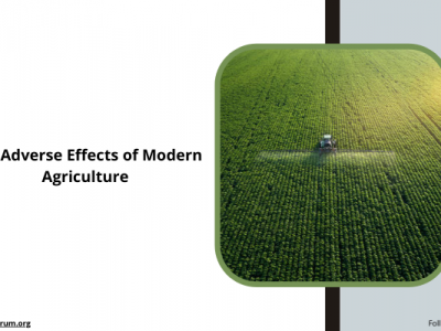 effects of modern agriculture