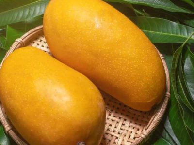 Gir kesar mango online