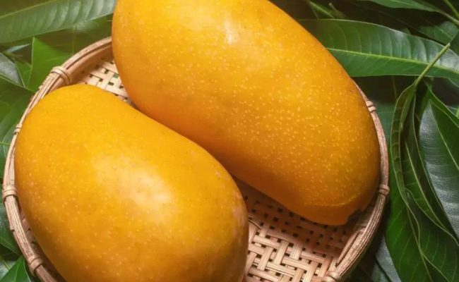 Gir kesar mango online